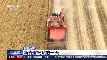 雷沃谷神车队队长杨斌的一天